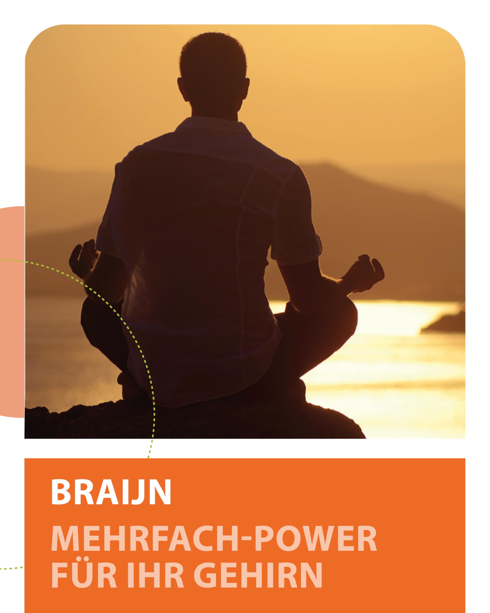 BRAIJN Konzentrations- & Gehirn Kapseln für Männer 120 Stk. vegan - Mit Vitamin B5 Pantothensäure für normale geistige Leistung, Wirkstoff-Komplex aus Brahmi, Ginkgo, Gojibeere & Zink