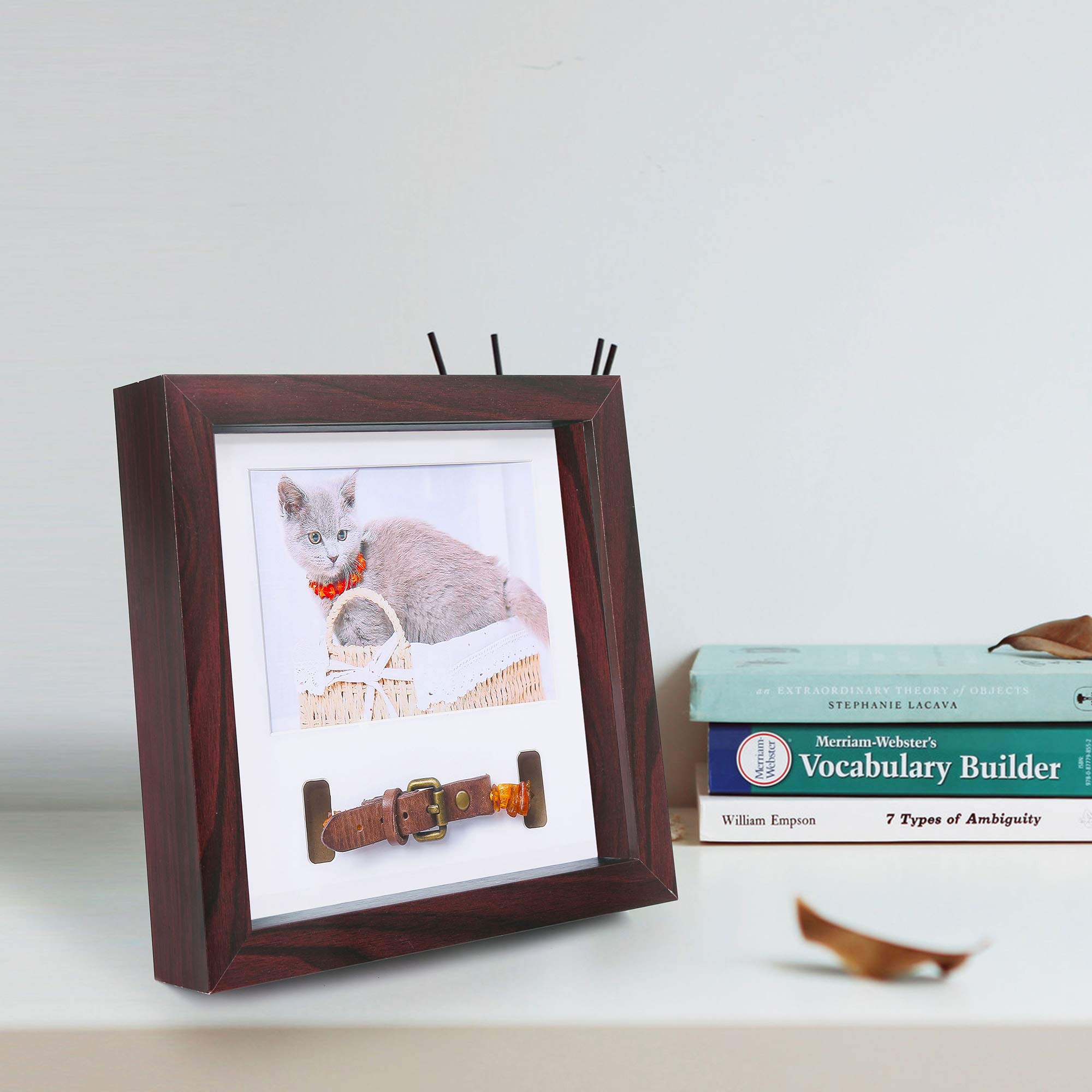 Cornice In Legno Per Ricordi Animali Domestici | Esposizione Per Foto 10x15 E Collare | Regalo Di Condoglianze Per Cani E Gatti