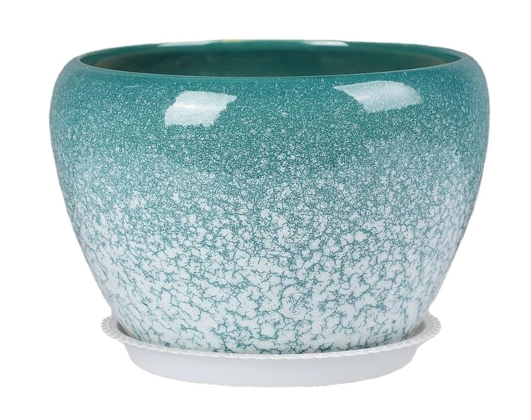 Pots succulents en céramique créatifs pour décoration de bureau et maison