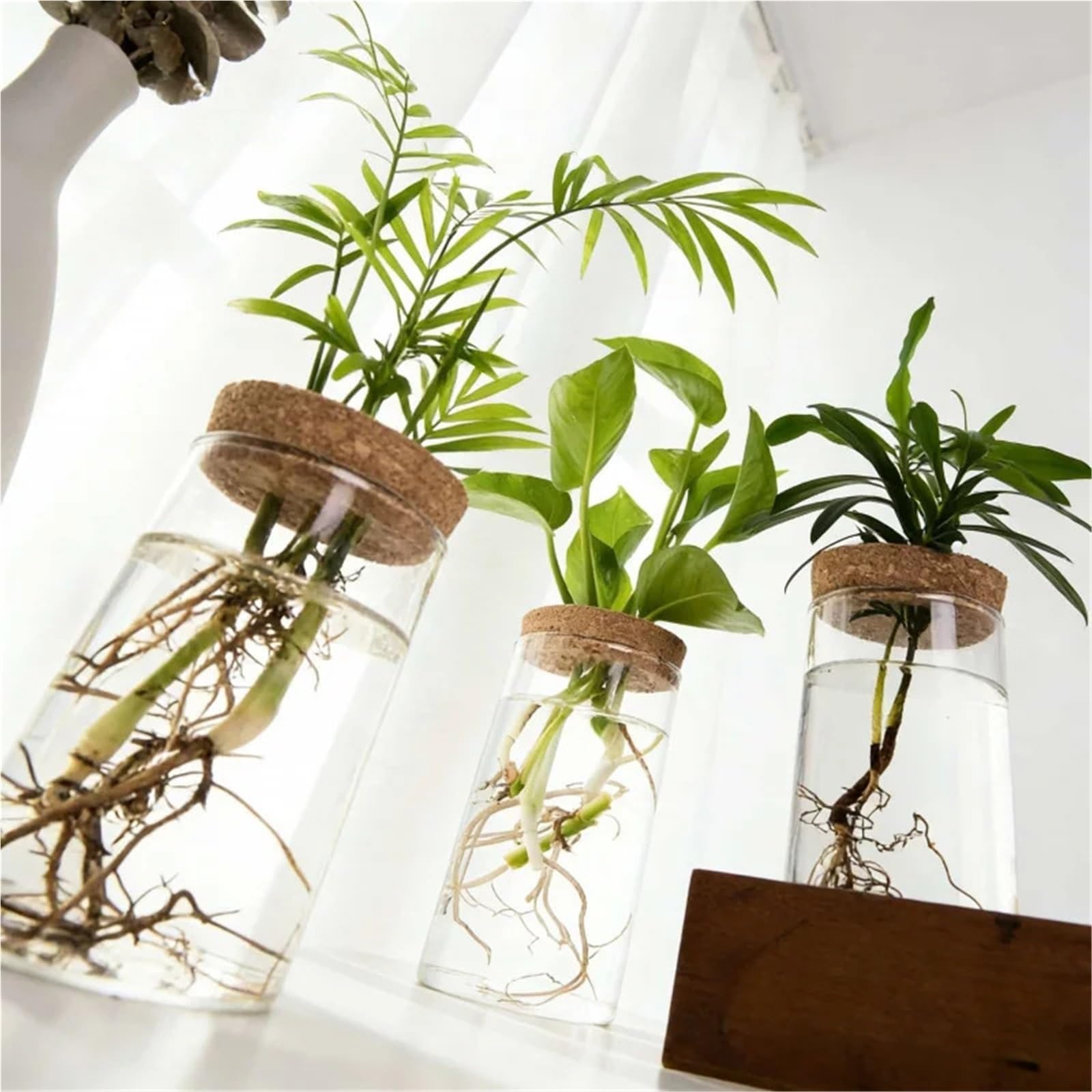 Vase Hydroponique Verre Verre Transparent hydroponique Vase1-2Home Bureau Plante Verte enracinement conteneur décoration Ornement(6.5X12CM 2PCS)