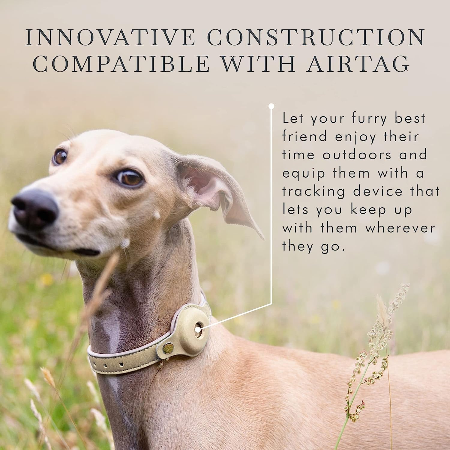 NINA WOOF - Cupertino Collare per Cani Compatibile con Airtag 2021, Regolabile, Pettorine e Guinzagli in Pelle Vegana con Localizzatore per Cani (Media (Collo: 15x19"))
