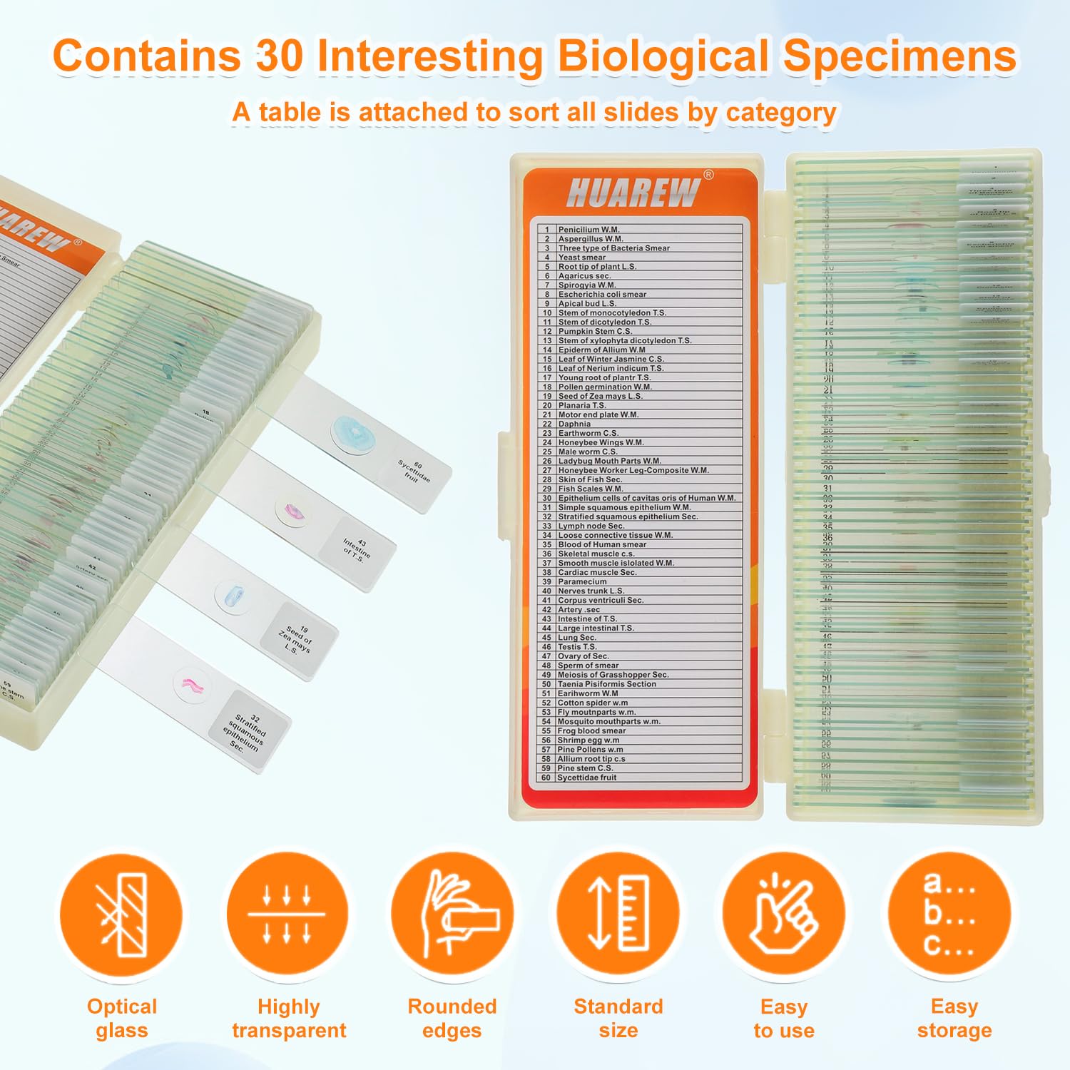 Lames Microscope pour Enfant 60 Pcs échantillons biologiques plantes insectes cellules humaines préparations permanentes