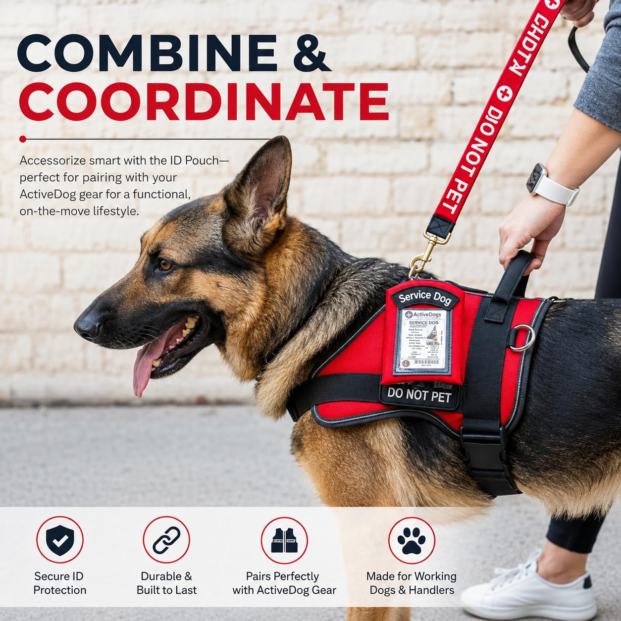 Activedogs Porte-Carte d'identité pour Chien avec Pochette zippée pour Transporter de Nombreux Petits Objets et Afficher Facilement l'identité de Votre Chien, Rouge