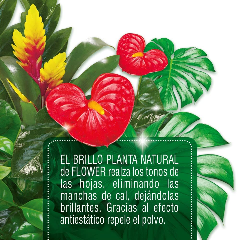 Flower 40501 – Spray Brillance pour Plante Naturelle hypoallergénique