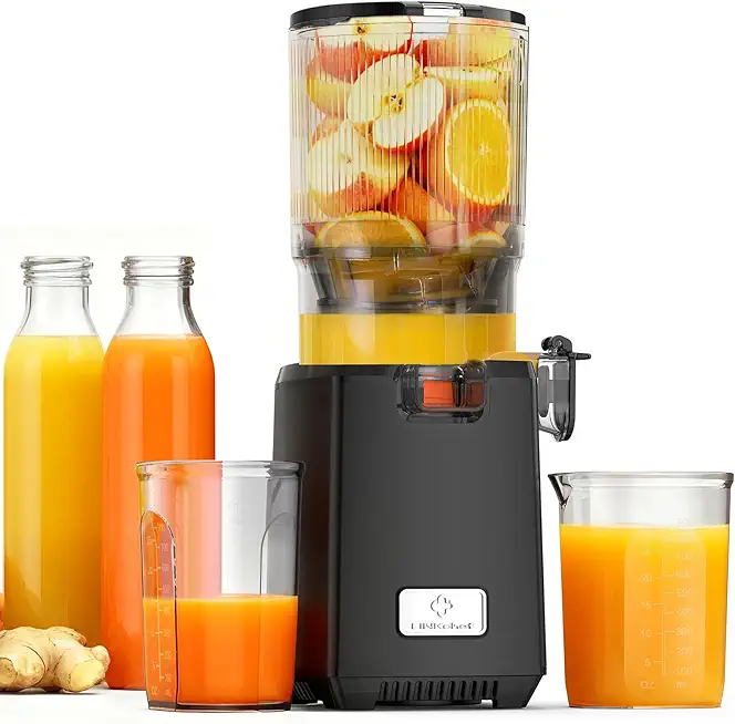 LINKChef Entsafter Slow Juicer, Entsafter Gemüse und Obst Testsieger, 130MM Öffnung und 1,8L Juicer Machine mit Umkehrfunktion, Einfache Installation, Leicht zu Reinigen, 100% BPA Frei, 250W