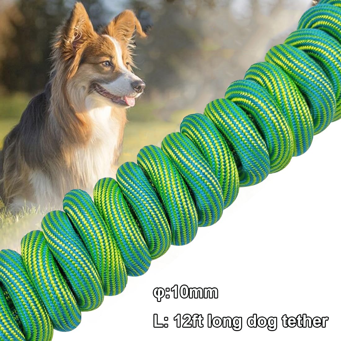 BTINESFUL 8ft 12ft 20ft 30ft 50ft 75ft Dog Tie-Out Long Tether Rope Leash, Outdoor Yard Leash- Large Medium Small Dogs Training, Playing, Camping, Backyard (Green, 12 Foot) - 4