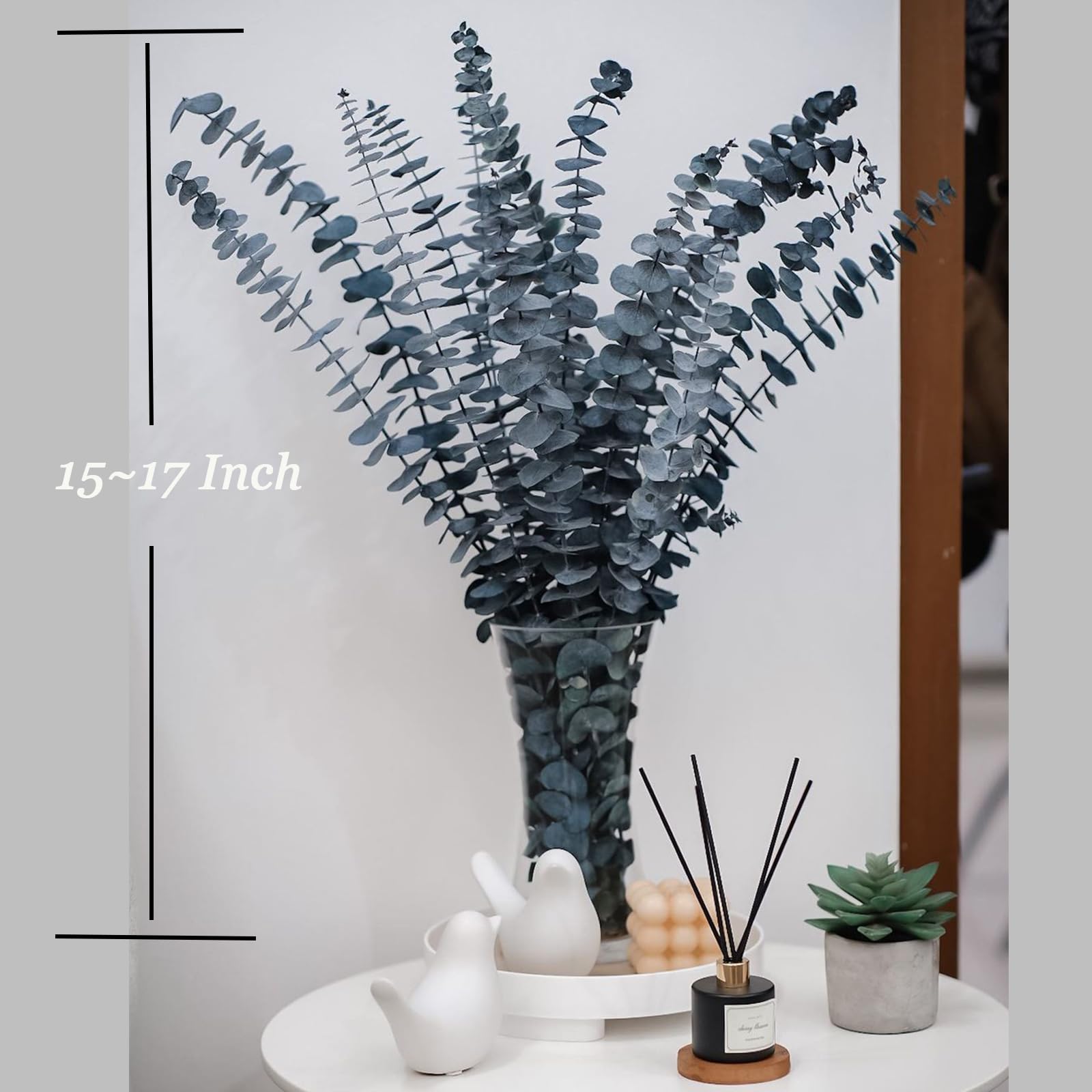 Lot De 12 Tiges D'eucalyptus Séchées Décoratives - Longueur ~45 Cm - Vert - Pour Vase, Mariage, Salle De Bain, Décoration Intérieure