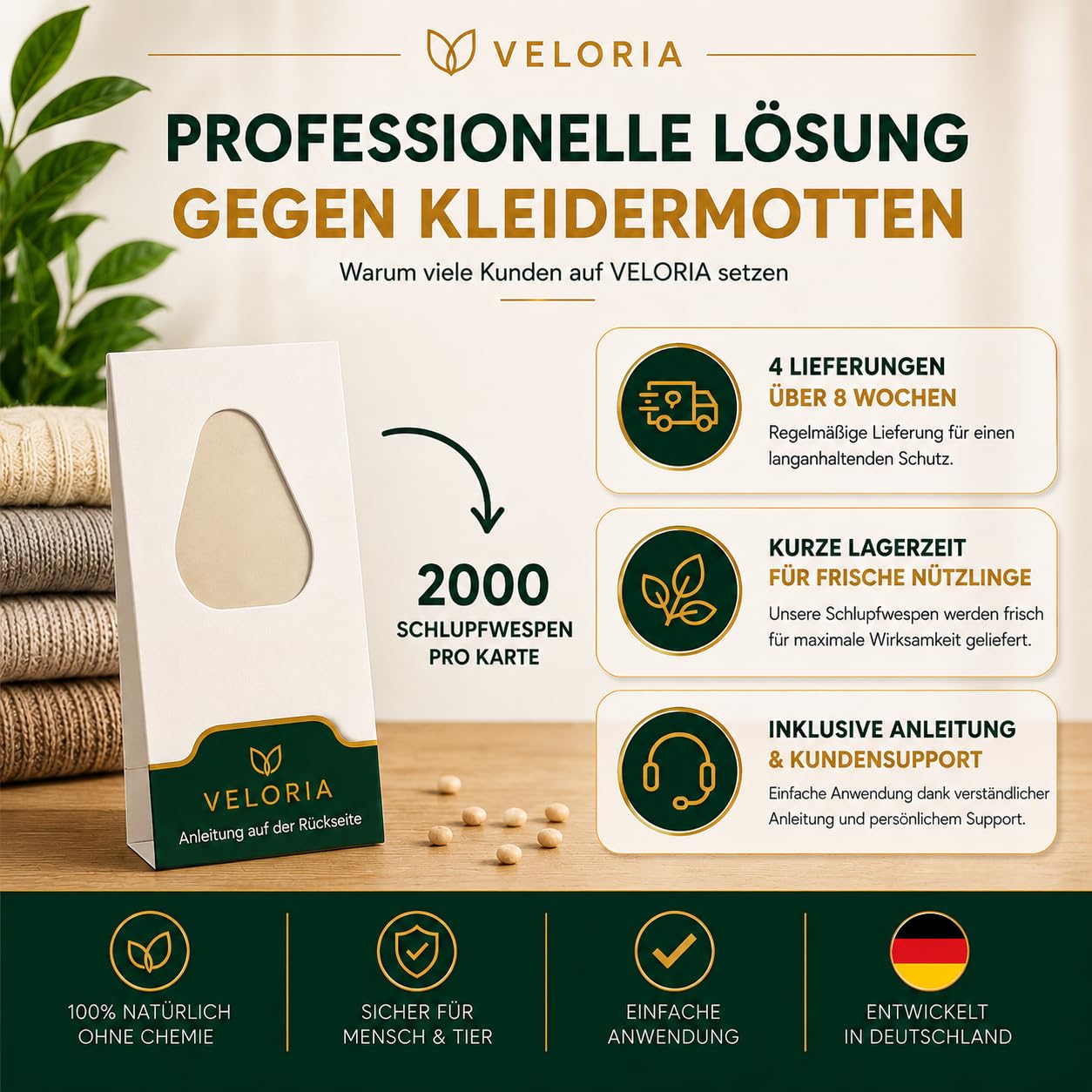 VELORIA Schlupfwespen gegen Kleidermotten - 36 Karten (6 Karten à 6 Lieferungen) - Effektiv Kleider Motten bekämpfen - Alternative zur Mottenfalle, Mottenspray, Pheromonfalle