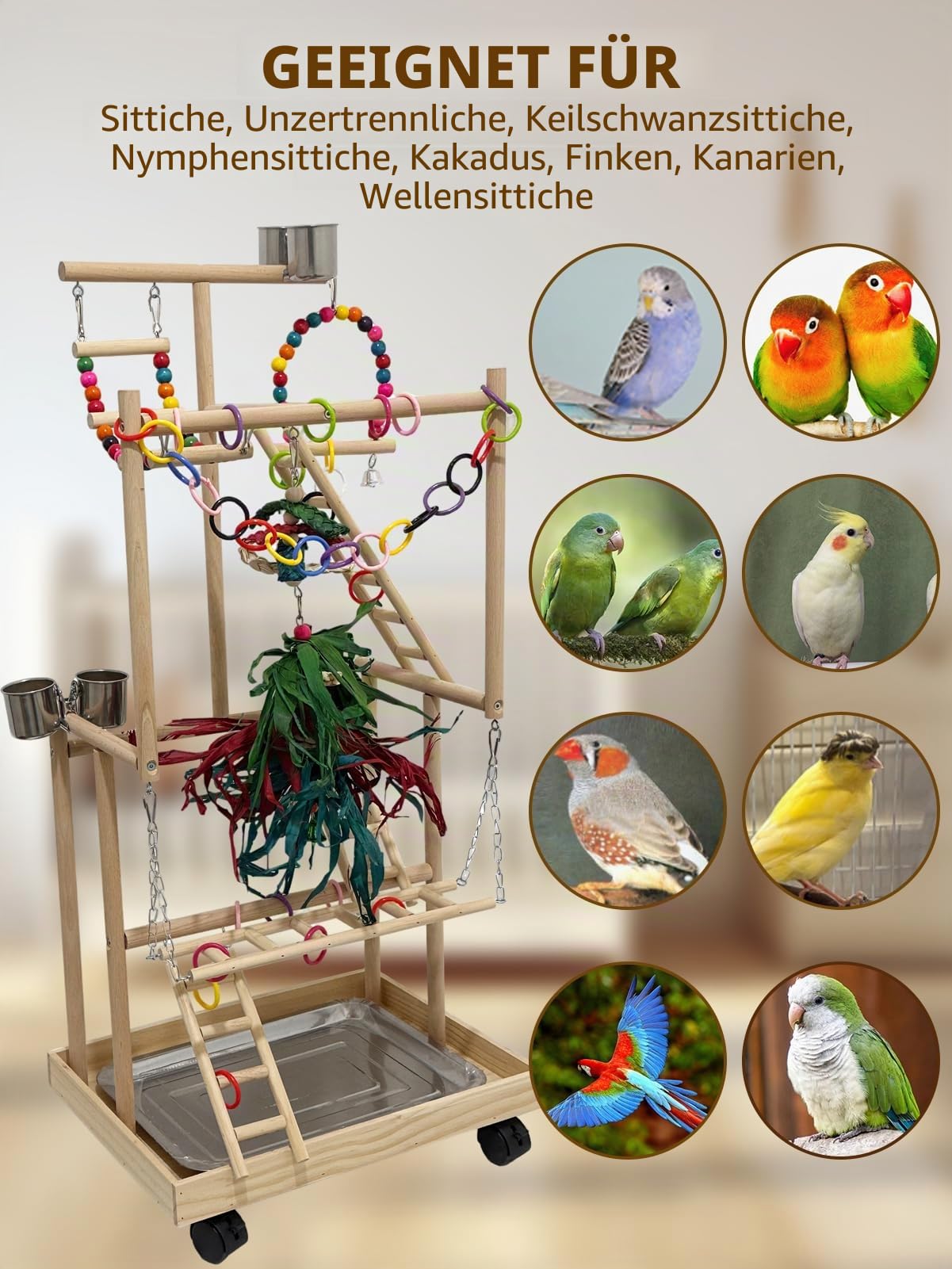 4-stöckiger großer Vogelspielplatz aus Holz mit Rädern, Naturholz Papageien Spielständer Vögel Sitzstange Ständer Fitnessstudio mit Leiter Spielzeug Zubehör für Nymphensittiche Kakadu Quaker
