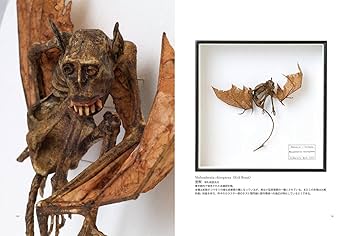 【初版】幻獸標本採集誌 初版】幻獸標本採集誌 幻獸標本採集誌 | 江本 創 |本