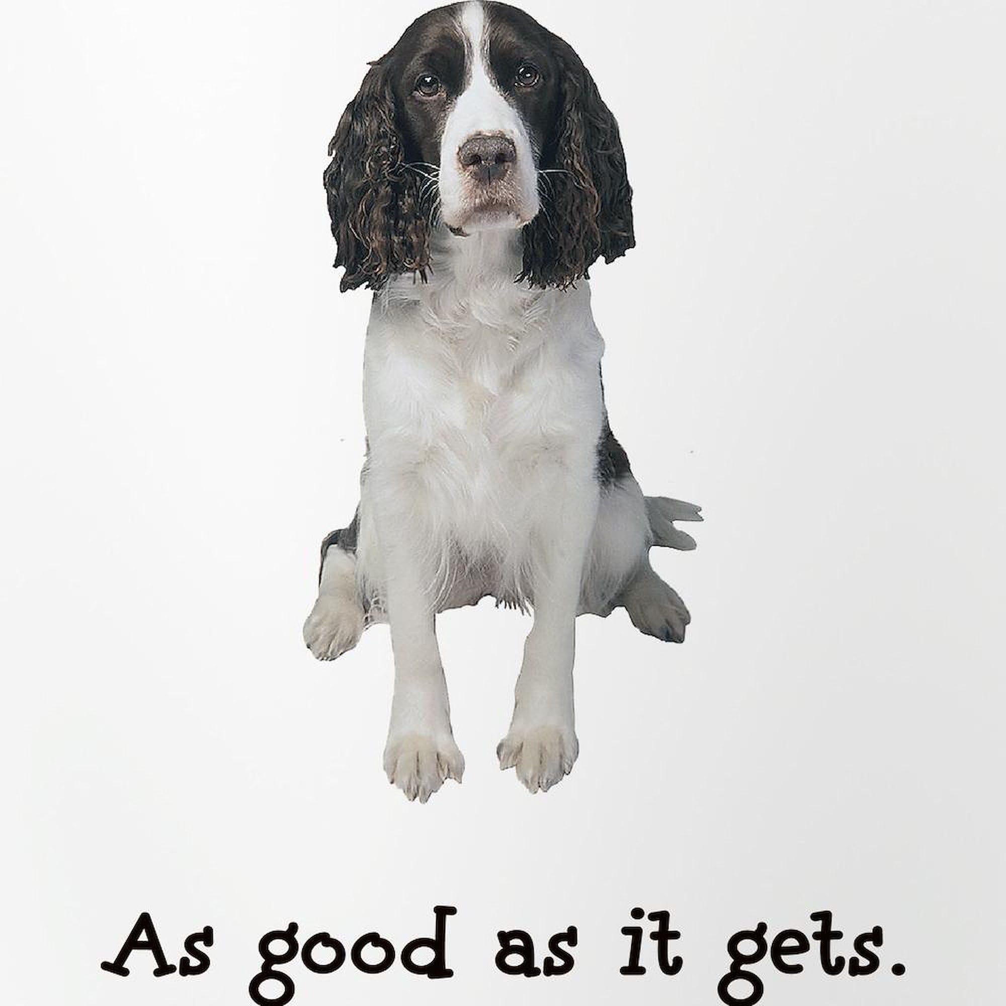 CafePress Good Springer Spaniel Pint Glass Pint Glass, 16 oz. Drinking Glass