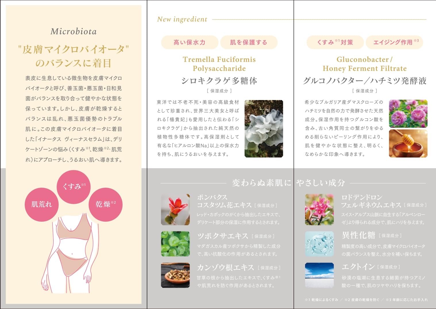Amazon | ヴィーナスセラム | INNATUS (イナータス) | 美容液 通販