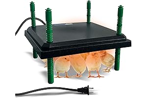 Brooder Heater for Chicks 12" x 12": Ultimate Comfort for Your Feathered Friends