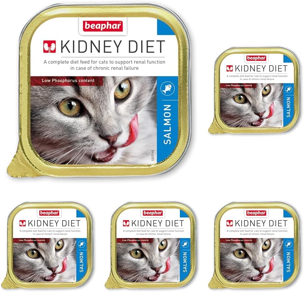 Kidney Diet for Cats | Supports Renal Function | Renal Insufficiency | Vet Recommended | Kidney Care | Low Protein & Low Phosphorus | Salmon Flavour | 100g (Pack of 5)