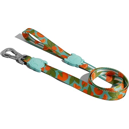 stylish dog leads