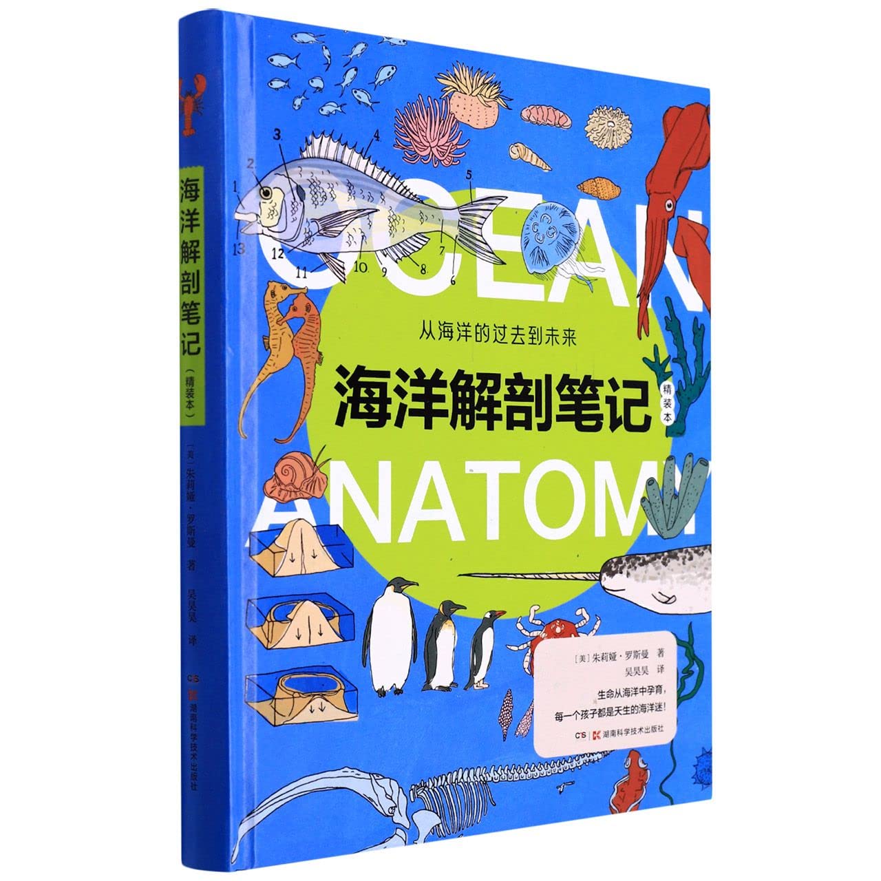 Amazon.com: Ocean Anatomy (Hardcover) (Chinese Edition): 9787571010881 ...