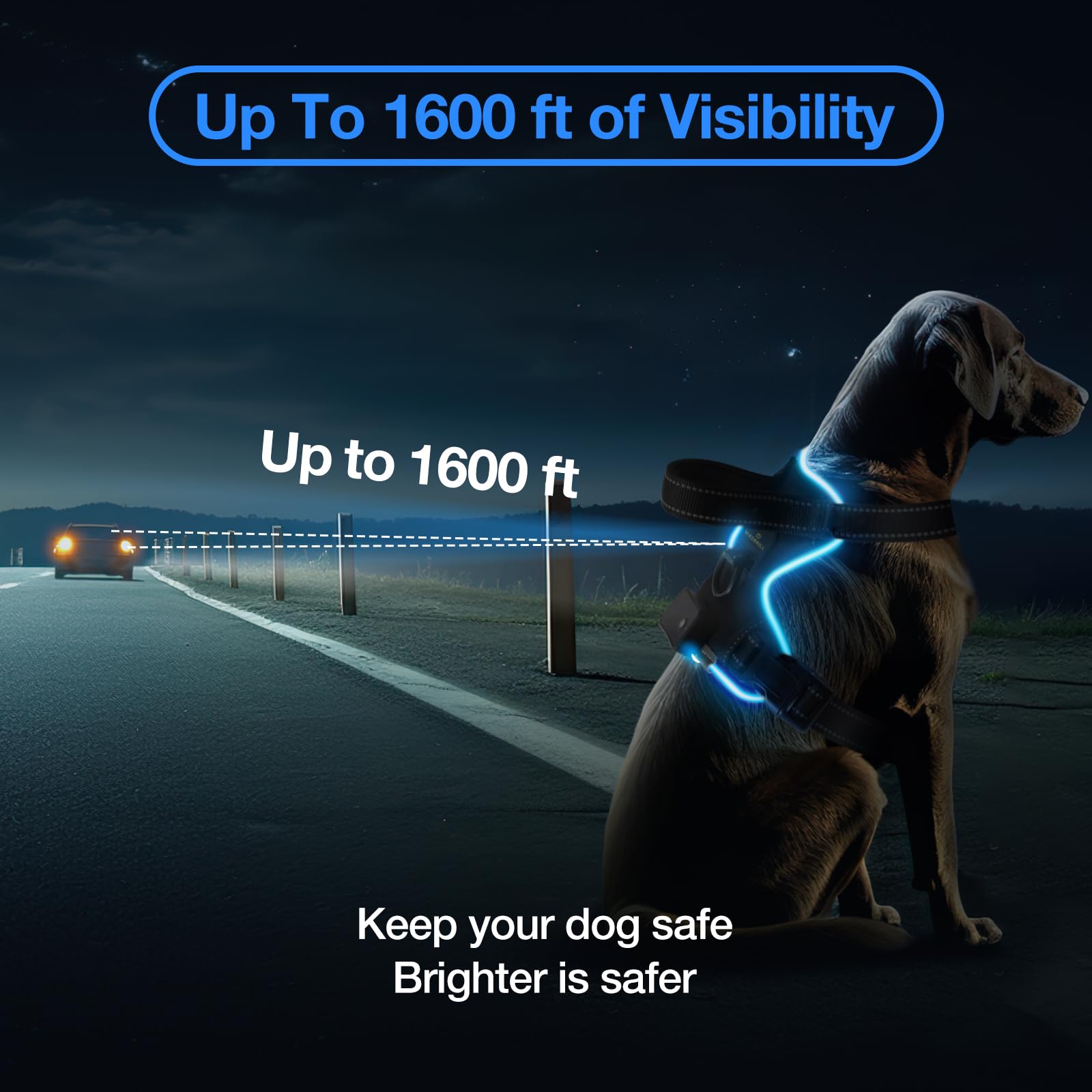 MASBRILL Arnés con Luz Luminoso Impermeable Recargable para Perros Pequeño Mediano y Grande, Brilla en la Oscuridad para Caminar (Negro-Azul, XL)