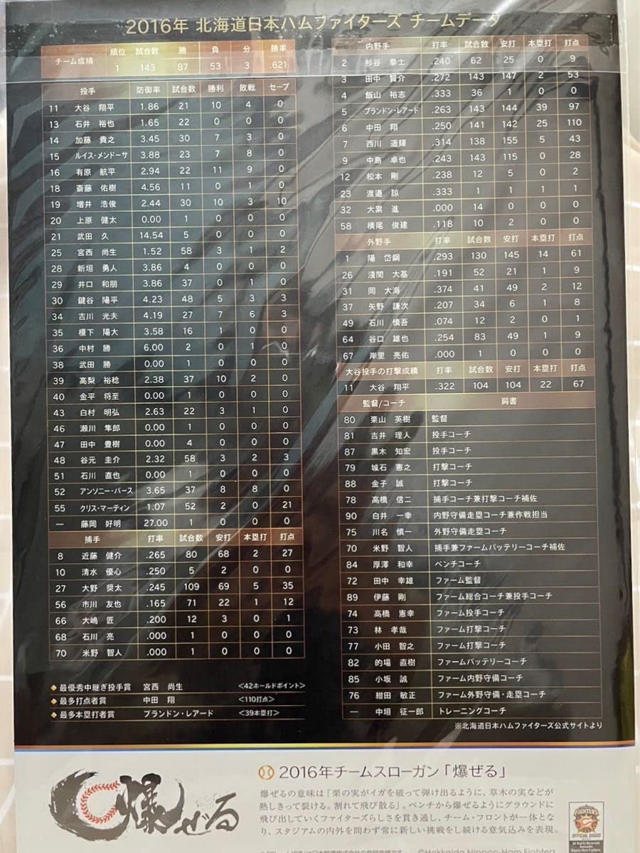 Amazon.co.jp: 北海道日本ハムファイターズ 優勝 記念 フレーム プロ Amazon.co.jp: 北海道日本ハムファイターズ 優勝 記念 フレーム プロ