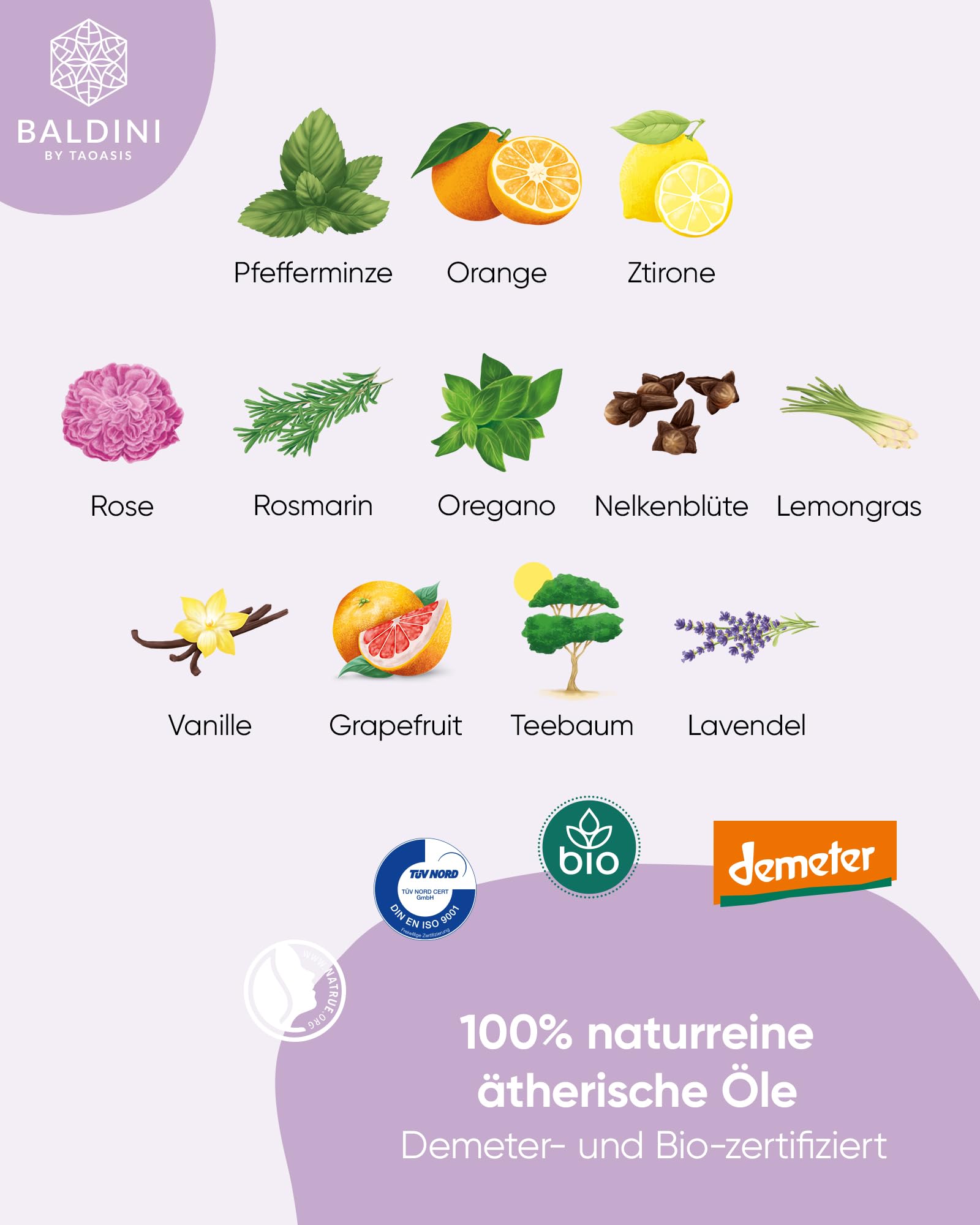 Baldini Ätherische Öle Set 12x5ml - 100% Naturreine Ätherische Öle - Lebensmittelqualität - Vegan - für Speisen, Getränke & Aroma Diffuser - Geschenkset