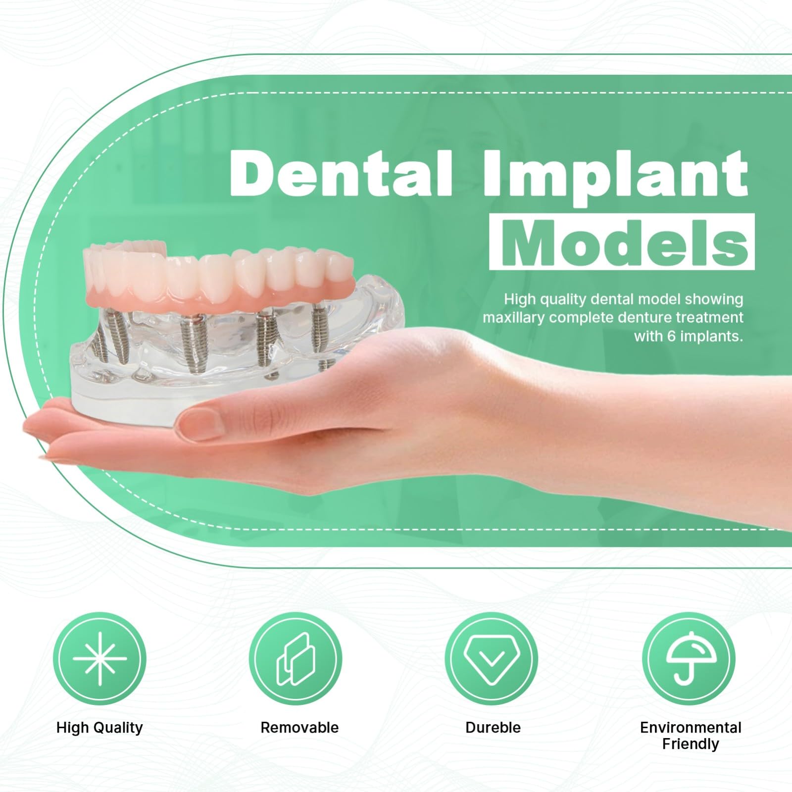 Modelo de implante dental de doble arco. Sistema de entrenamiento de sobredentadura All-On-6 y All-On-4. Bases transparentes para maxilar y mandíbula