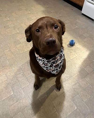 Miniatura 6 de Pañuelos de doble cara para perro 2 bandanas reversibles para cachorros, bufanda de fiesta para mascotas, bufanda triangular, baberos para perros de