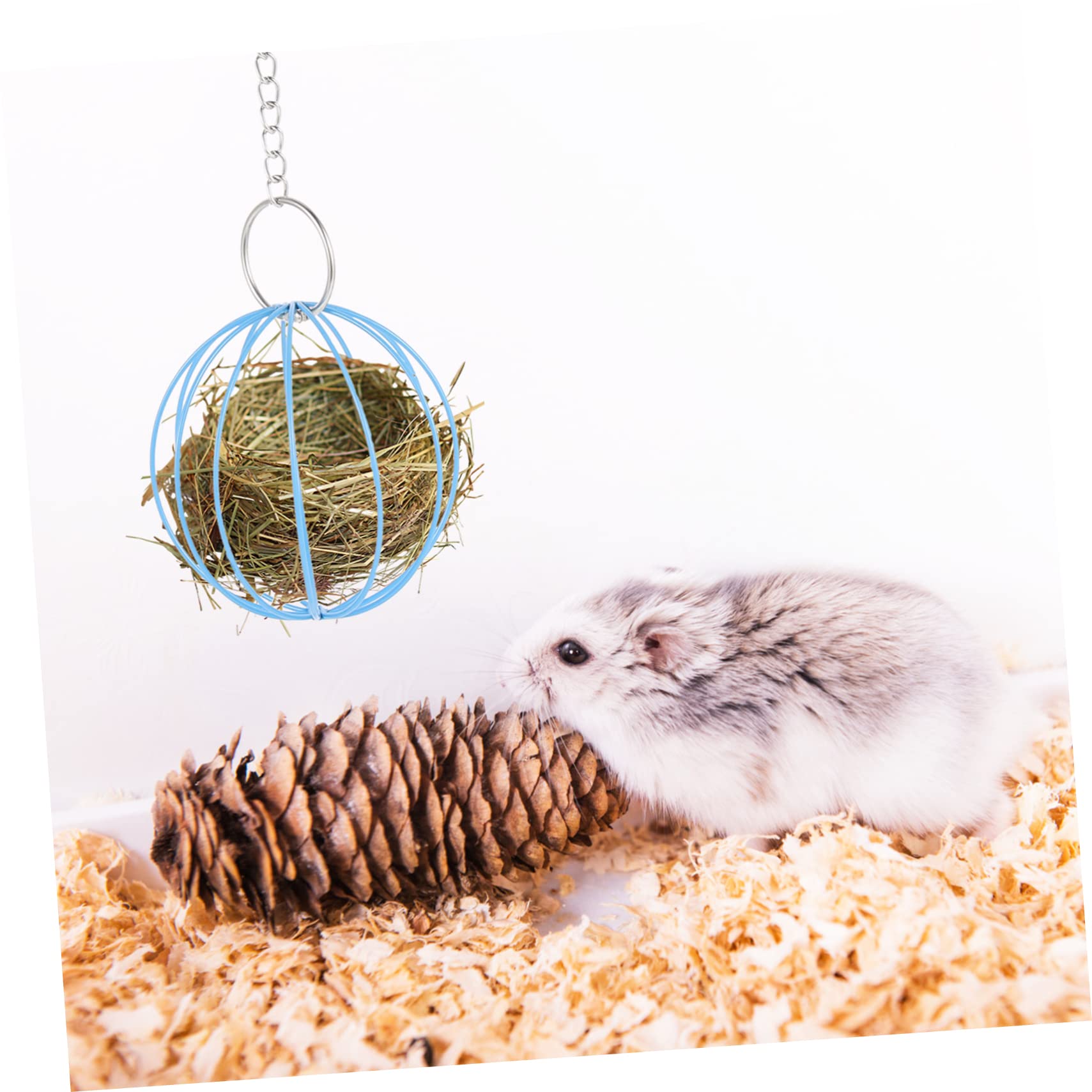 Supvox 10stücke Hängende Futterbälle Für Kleintiere Für Kaninchen Und Meerschweinchen Konstruktion Platzsparend Bunte Designs Für Spiel Und Futteraufnahme