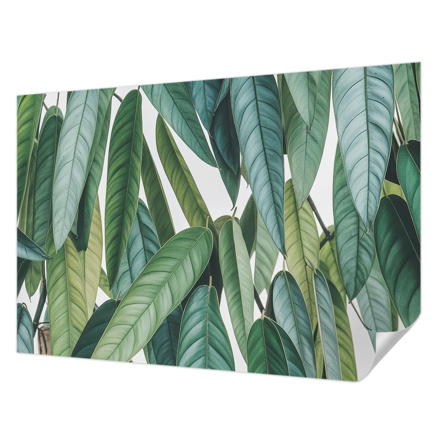 Papier Peint Autocollant Pose Murale Propre sans Colle Feuilles 152x104