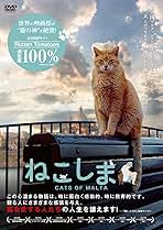 Amazon.co.jp: ねこしま [DVD] : ミシェル・デアグラ, サルヴュ