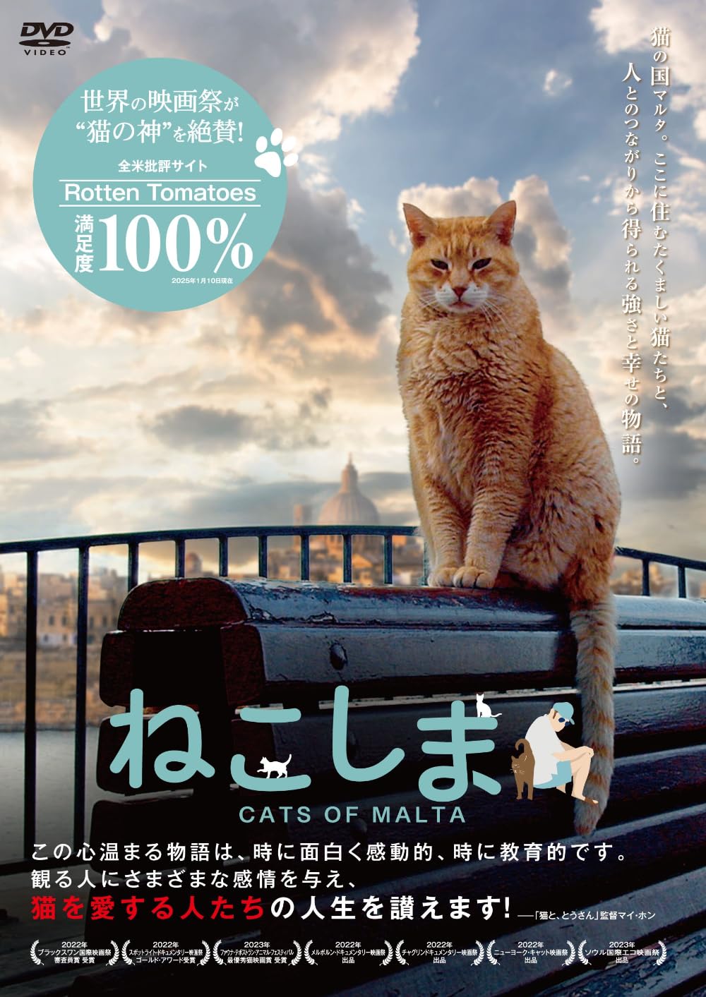 Amazon.co.jp: ねこしま [DVD] : ミシェル・デアグラ, サルヴュ