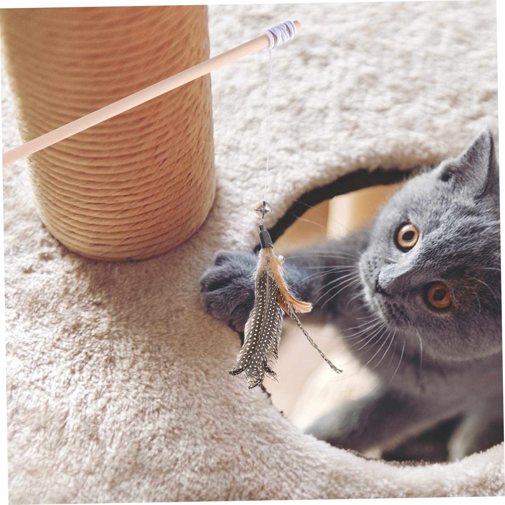 Mipcase 40pièces Recharges De Jouets à Plumes pour Chats Kit De Teasers Interactifs pour Kittens Améliorez Interactivité Et Stimulez Le Jeu