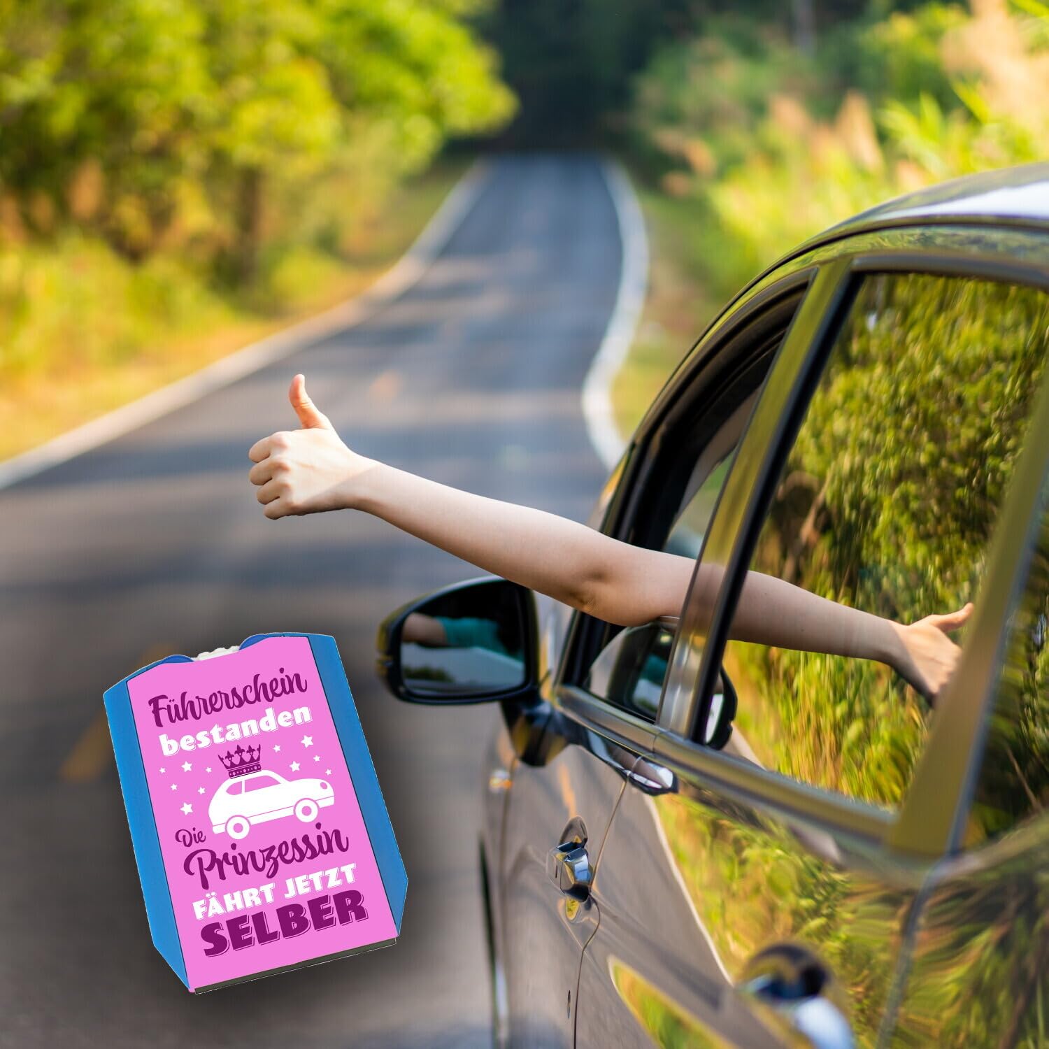 Speecheese Disque De Stationnement Princesse Avec Inscription En Allemand « Permis De Conduire » - Accessoire De Voiture Pour Les Conducteurs Majeurs