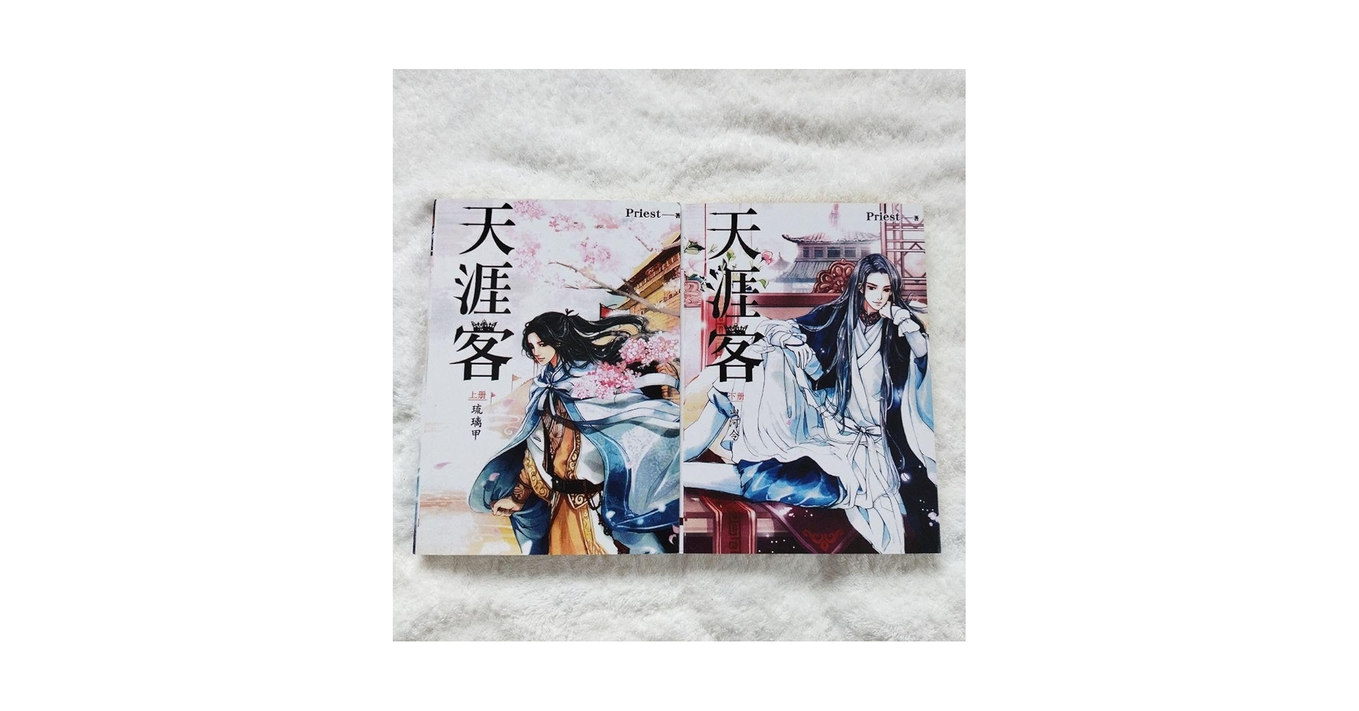 Amazon.co.jp: 山河令 天涯客 Priest 上下冊 中国語 チャンジャーハン