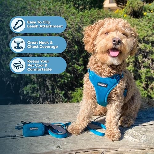 Miniatura 5 de Voyager Step-in Flex de Best Pet Supplies- Arnés flexible para perro  malla para todo tipo de clima, arnés ajustable para perros pequeños y