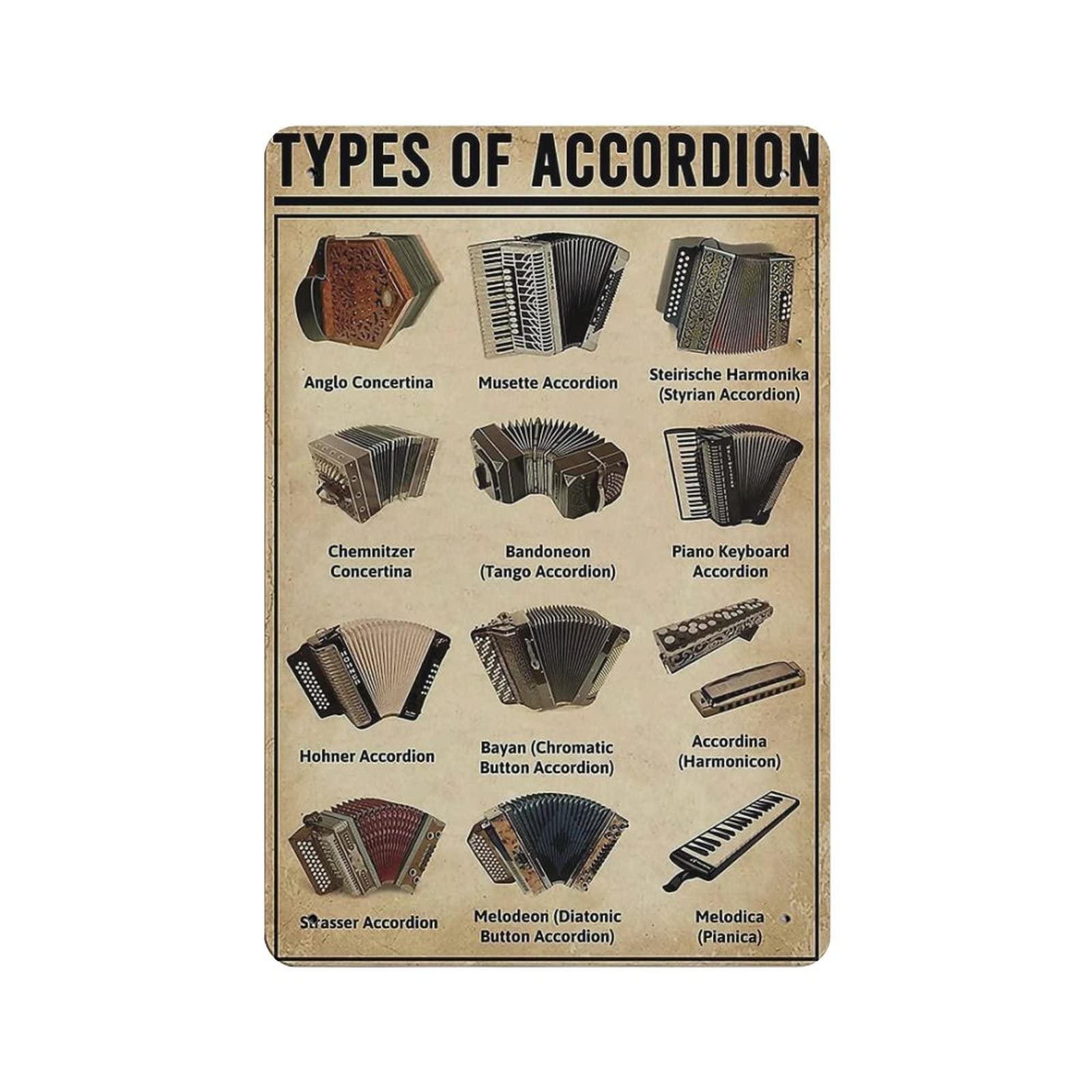 rayprint Types Of Accordion Poster Metal Tin Sign Art Wall Plaque Decor Vintage Retro Sign Iron Painting Aluminum Sign for Home Decor Bar Shop Men Cave Outdoor Garage Indoor 12"x8"
