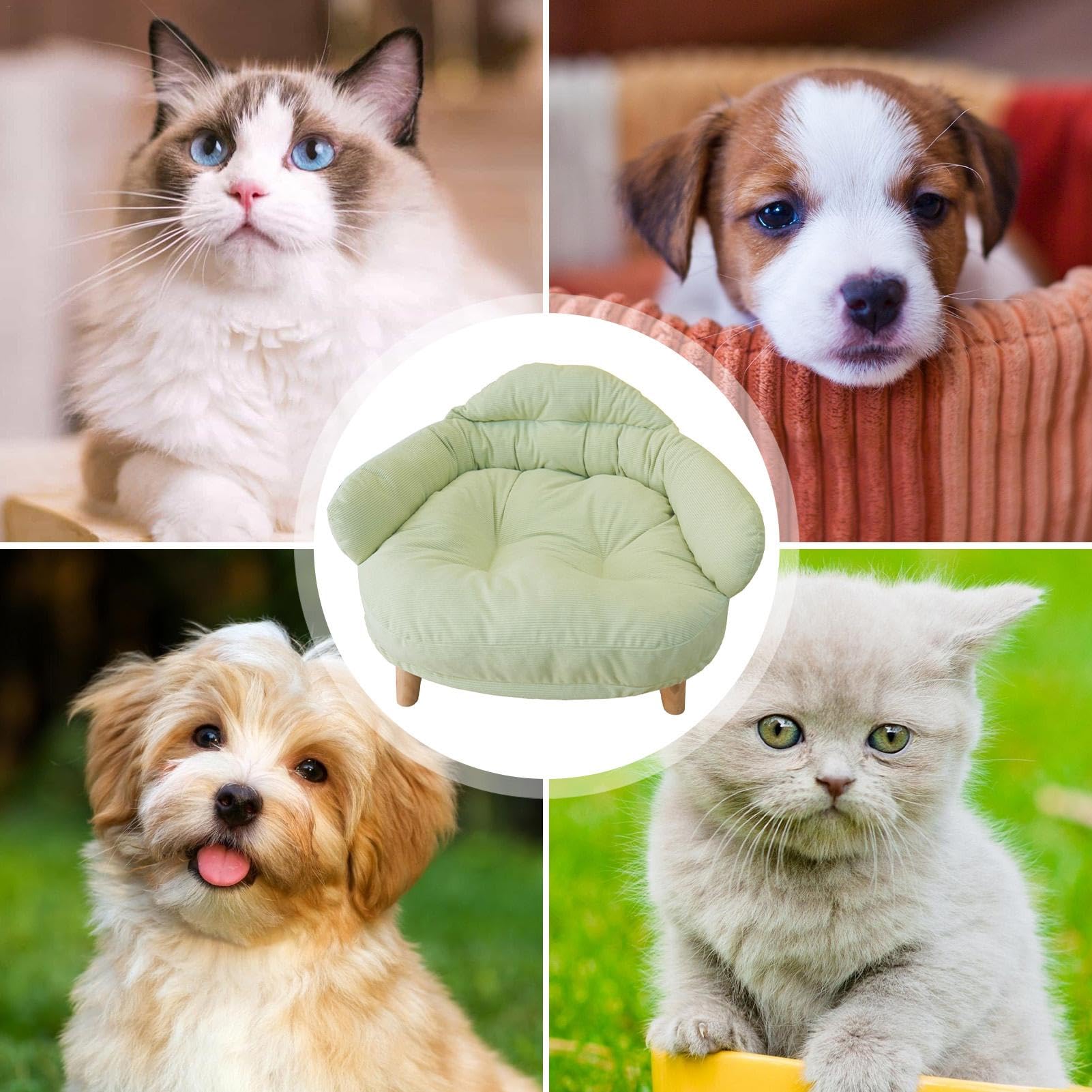 Sofá Cama para Mascotas Desmontable con Patas, Multiusos y Reutilizable para Perros y Gatos