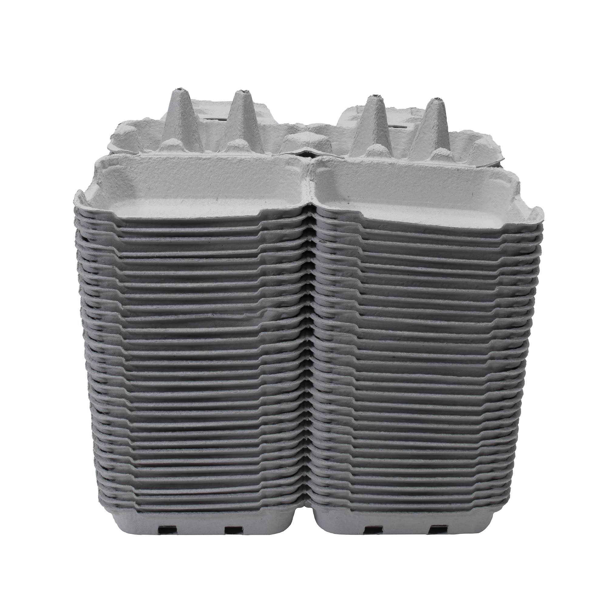 Hueveras de Cartón para Huevos de Gallina (30, XL)