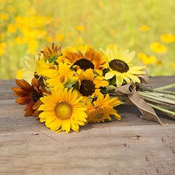 sunflower様 リクエスト 2点 まとめ商品 Amazon.com : 25 Sunflowers for Mom - Happy Mothers Day