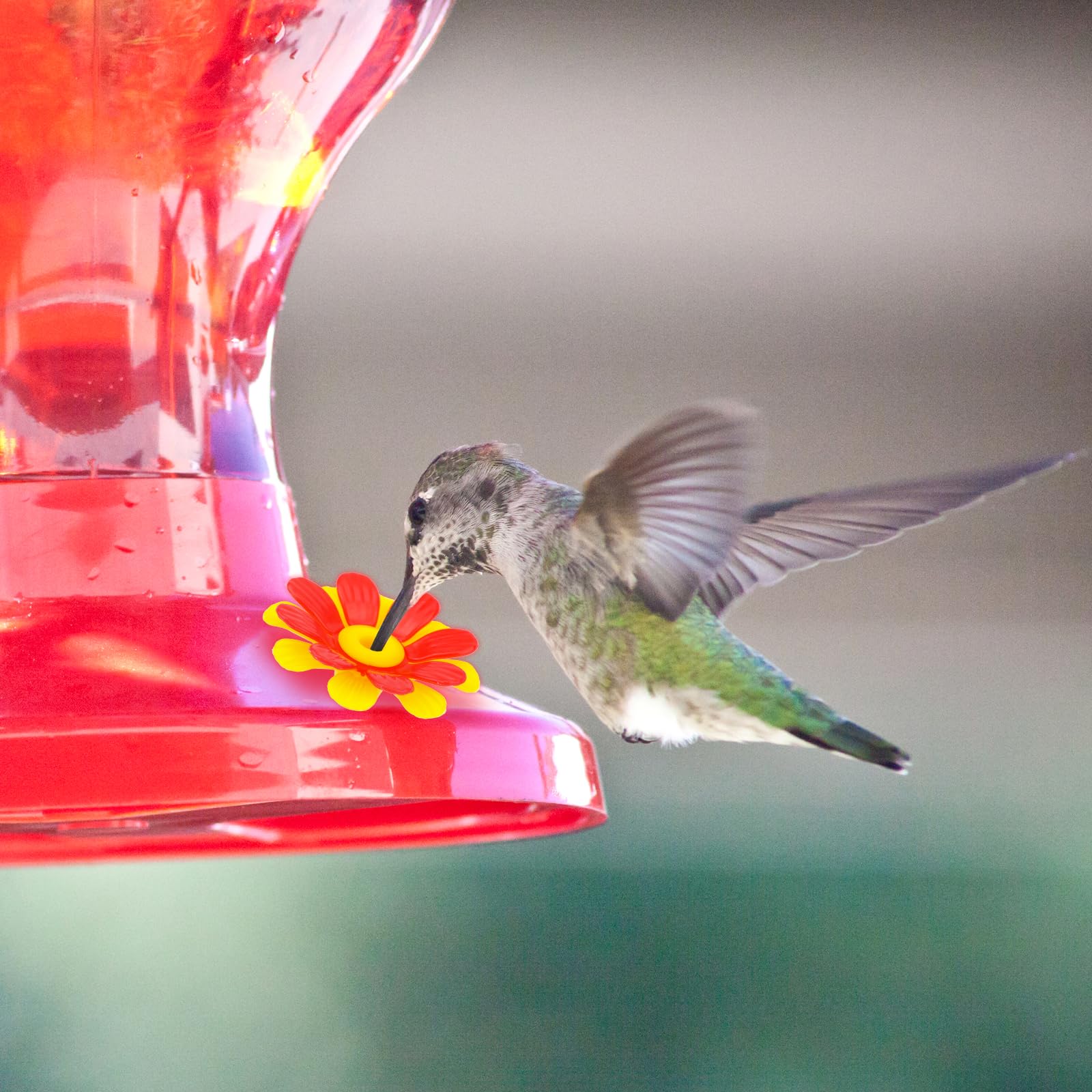 Kolibri-Futterstation Mit Ersatzblumen – 12 Stück, Gelb, Inkl. 2 Reinigungsbürsten Für Draußen