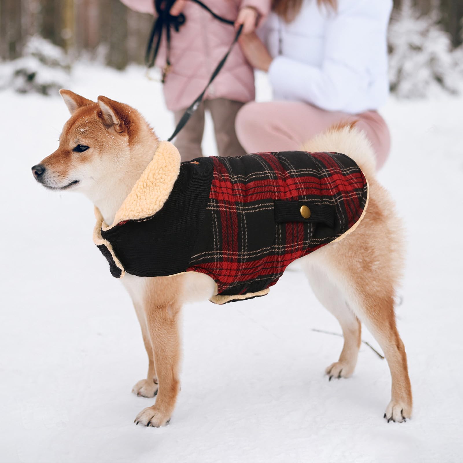 CITÉTOILE Abrigo para Perro Invierno - Chaleco Polar Grueso con Estampado Tartán, Ropa Cálida para Perros Pequeños/Medianos, Chaqueta Térmica Chihuahua o Teckel, Rojo, XS
