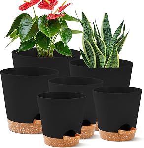 6 Pack Plant Pots Indoor 8/7/6.5/6/5.5/5 Inch Flower Pots Self Watering Planters for Indoor Plants with Drainage Hole Plastic Plant Pot for African Violet Cactus Flowers Succulents(Black)