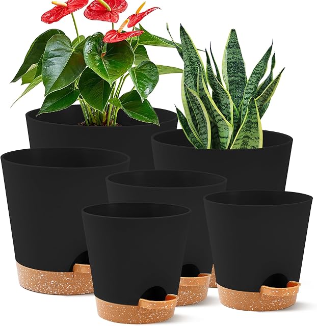 6 Pack Pots de plantes Intérieurs 8/7.6.5/6/5.5/5 Inch Pots à fleurs Auto-arrosage Planters pour plantes Intérieures avec trou de drainage Pot de plantes en plastique pour fleurs violettes africaines Succulents(Noir)