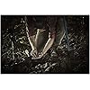 Product Photo 8