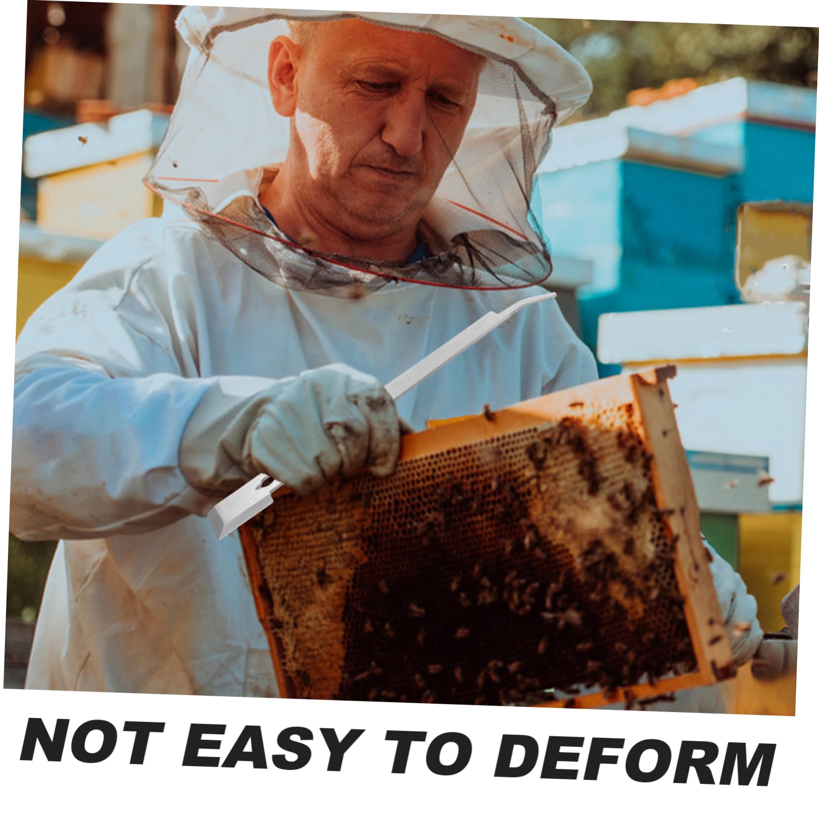 Didiseaon 5 Pezzi Di Strumenti Per L'Apicoltura Raschietto Per Apicoltore Raschietto Per Alimentatore Detergente Per Finestre Sicurezza Forniture Per L'Apicoltura Strumento