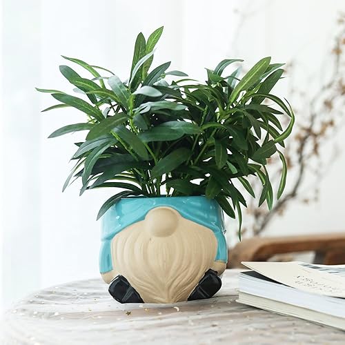 Miniatura 7 de Chonsun Maceta de cerámica con platillo, macetas de 6 pulgadas, maceta de interior con agujero de drenaje, macetas de flores suculentas, maceta de