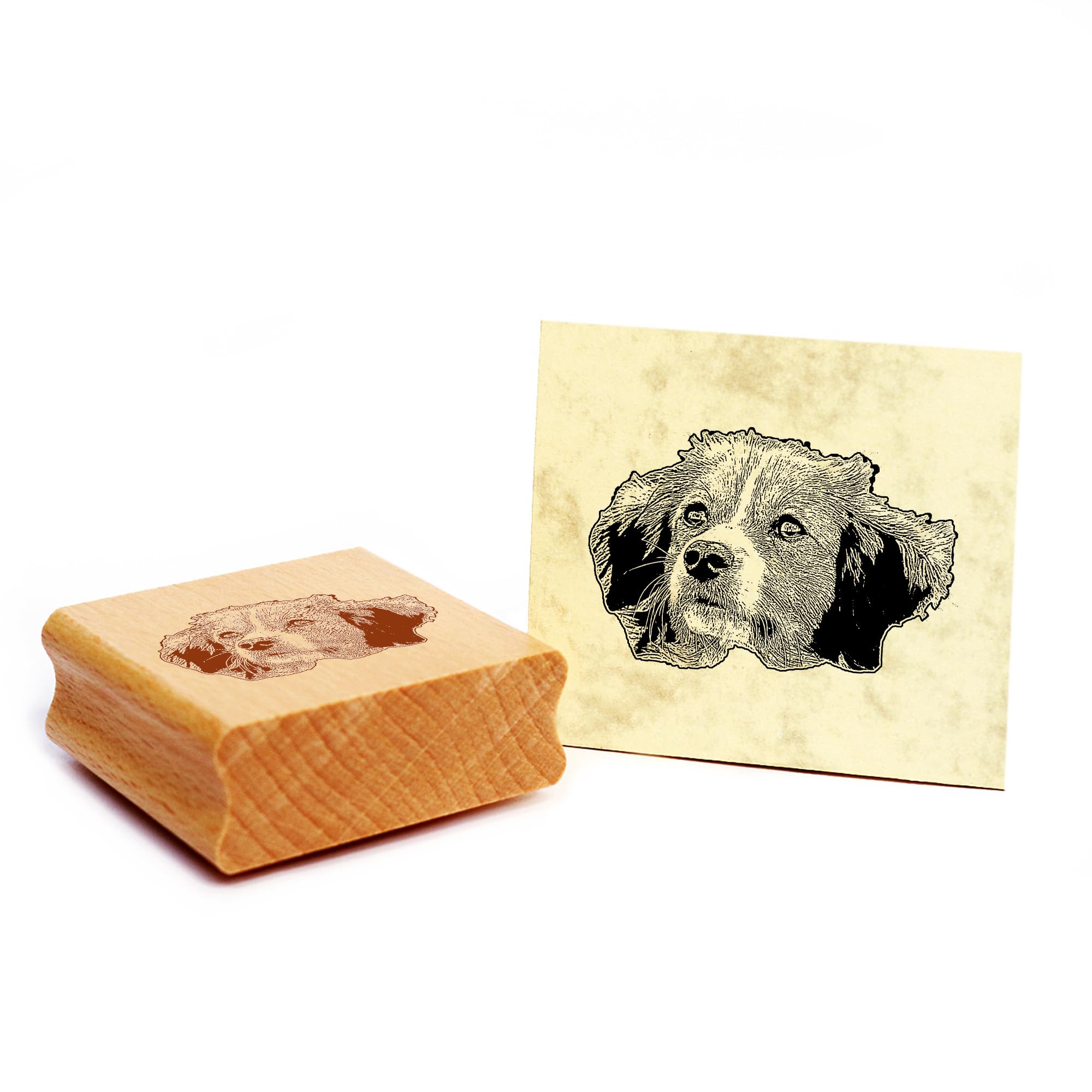 Dekolando Motif Stamp Nederlandse Kooikerhondje Dog Wooden Stamp 48 x 32 mm — image 1