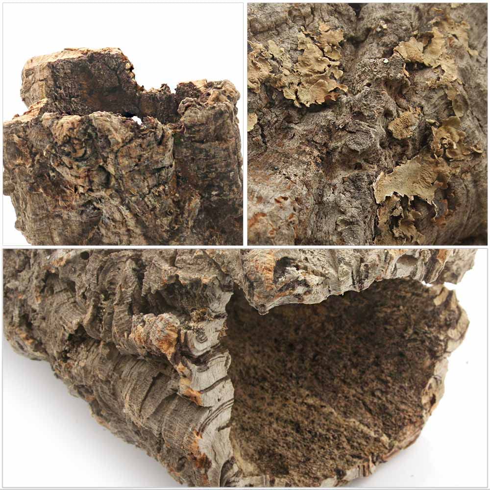 Amazon.co.jp: 形状お任せ 筒型コルク Lサイズ 長さ30cm 蘭 エア