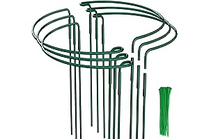 6 Pack Potted Plant Support Stakes