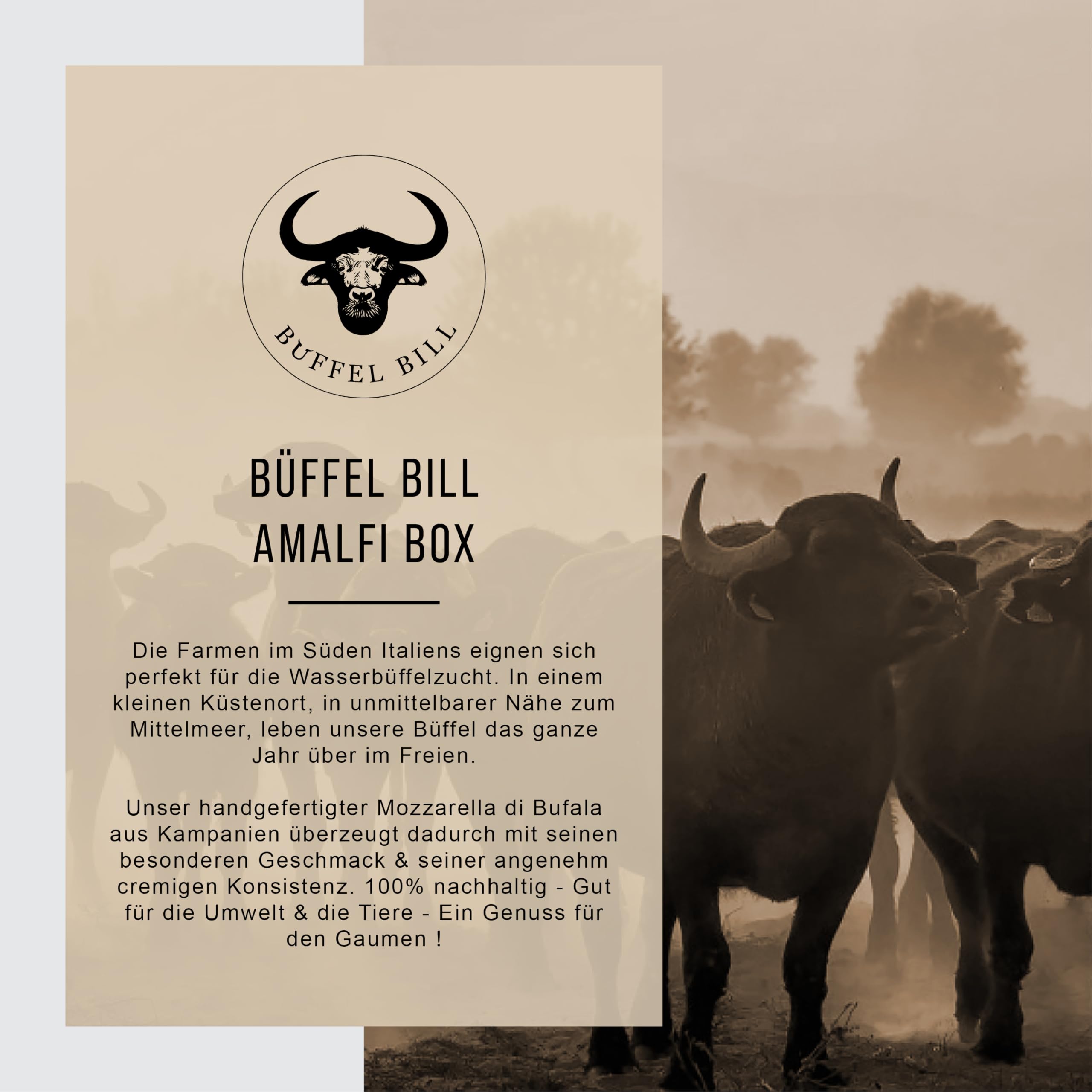 Büffel Bill Amalfi Box I Büffelmozzarella für Genießer I Vom italienischen Wasserbüffel I Mozzarella, Cardinali, Bocconcini I Dazu Olivenöl & Gewürz