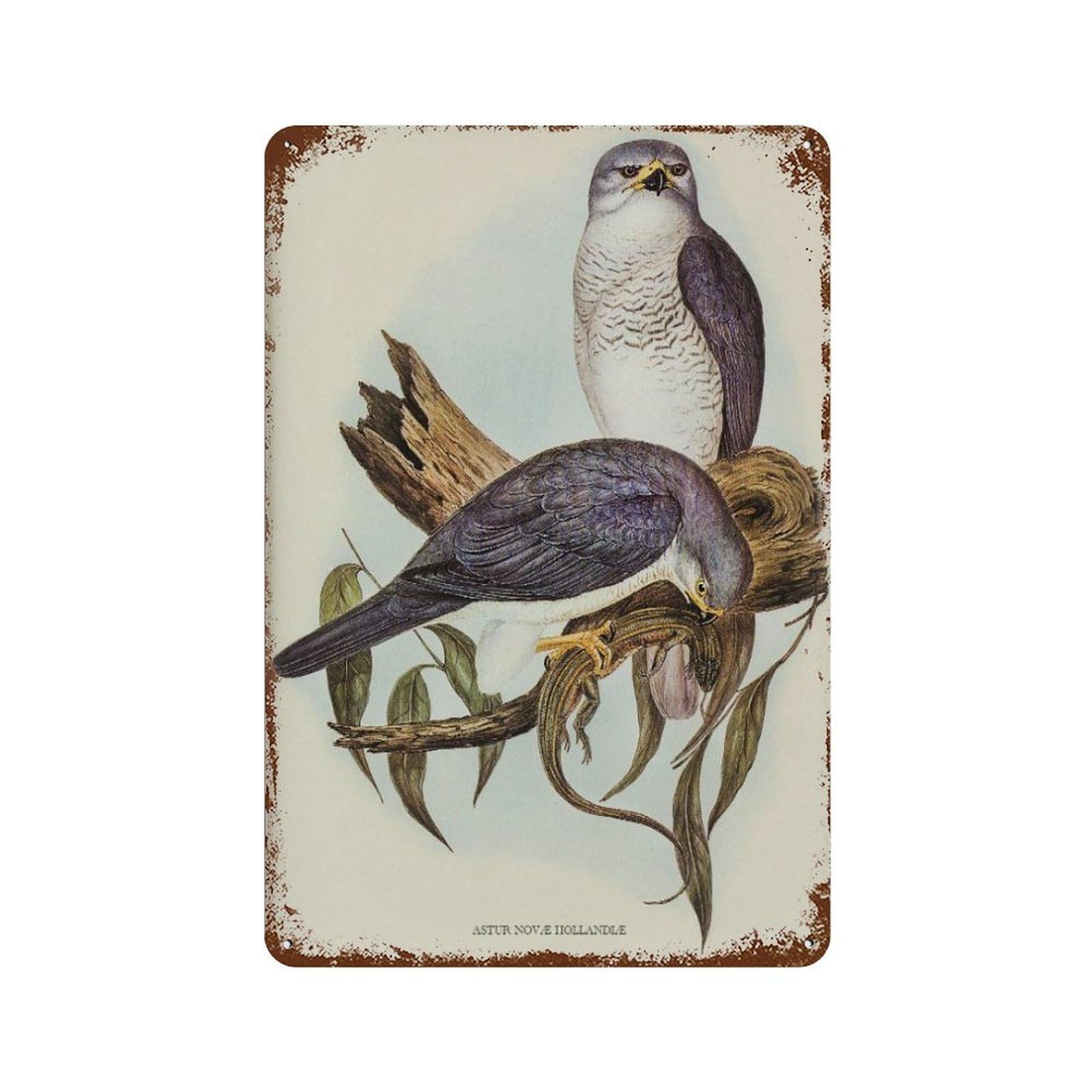 xiaoxiaoshen Vintage Bird French Country Wall Decor Art Metal Tin Poster Modern Home Decor Art Home Bar Shop Decorations Vintage Sign 30x20cm