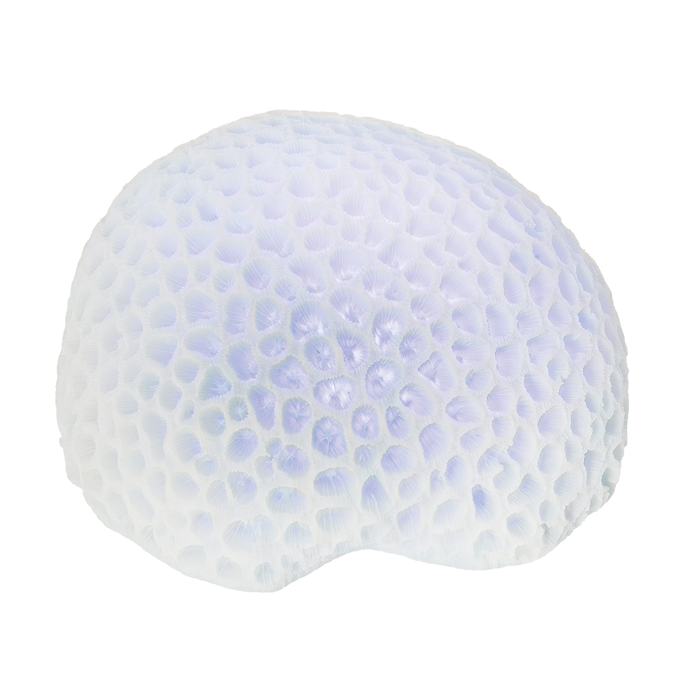 Beachcombers Blue Coral with Led Figurine 0